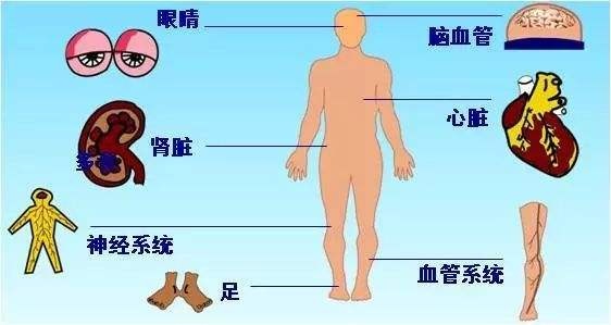 《柏岁慷草本固体饮料》是什么？它可以治疗哪些疾病？