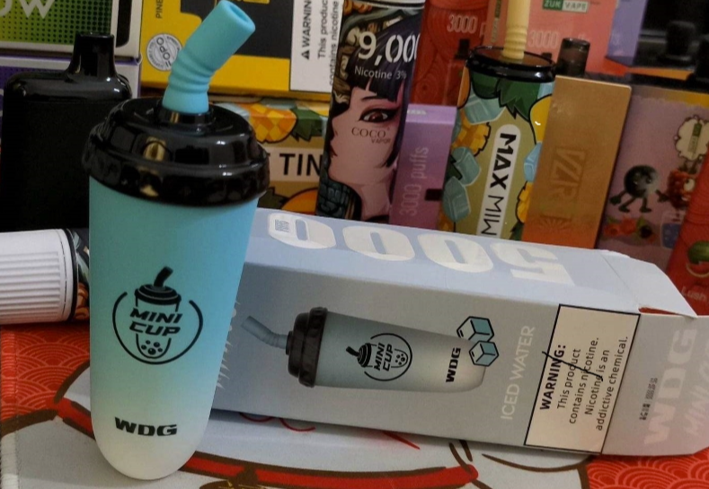 --wdg奶茶杯在哪能买到？