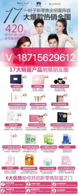 --一叶子微商招代理吗？有正规团队吗？