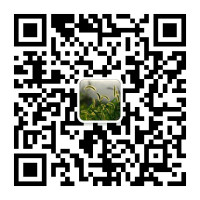 高仿包包一手货源，免费招代理微信二维码